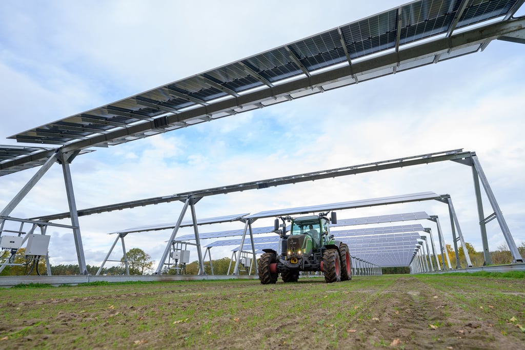 Agri-Solar könnte in Sachsen-Anhalt bald zu einem gewohnten Bild werden.