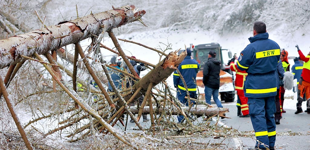 Nach der Sprengung begann der Forstbetrieb sofort mit der Räumung der Straße.