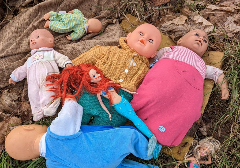 Mit diesen weggeworfenen Puppen hätten ganz sicher Kinder noch gern gespielt.