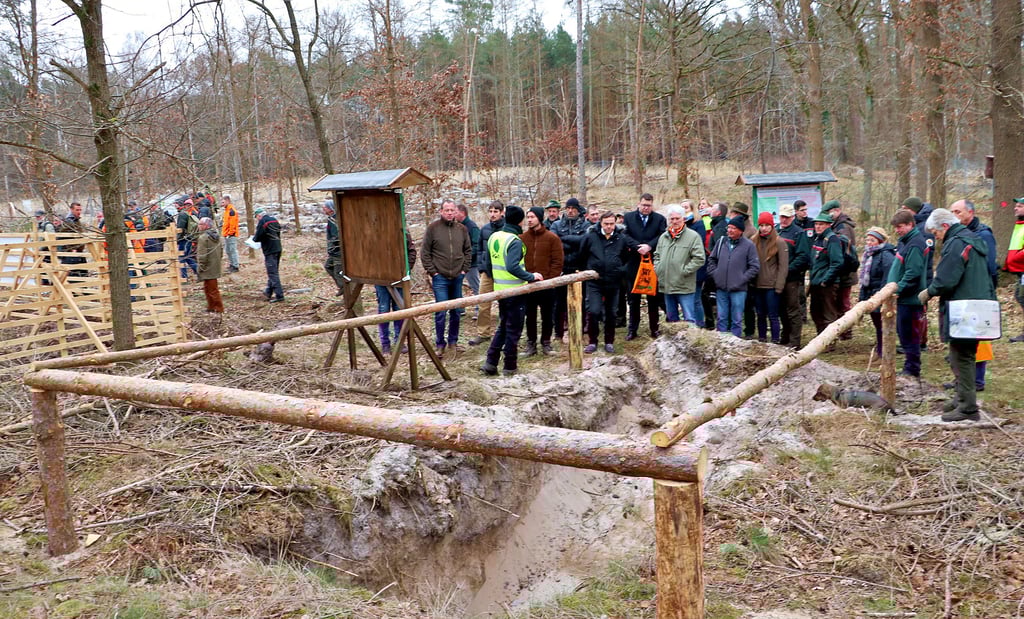 Im Jessener Stadtwald wurde Ende März während der Thementage des Kuratoriums für Waldarbeit und Forsttechnik, unterstützt vom Betreuungsforstamt Annaburg, viel Wissen an Fachleute und Laien vermittelt.