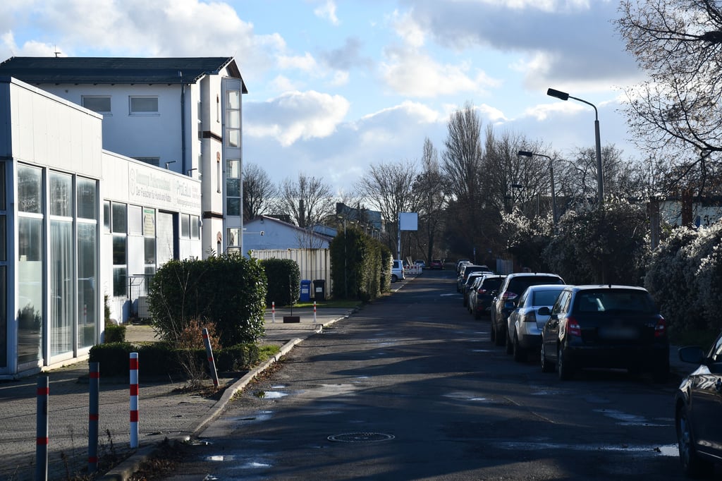 Blick in die Harsdorfer Straße in Magdeburg-Stadtfeld.