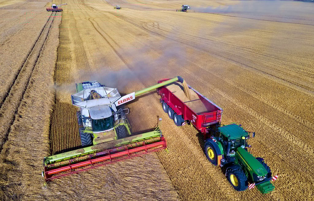 Landwirtschaft benötigt riesige Flächen. Dieses Feld in Mecklenburg-Vorpommern, auf dem  Wintergerste geerntet  wird, ist  100 Hektar groß. 