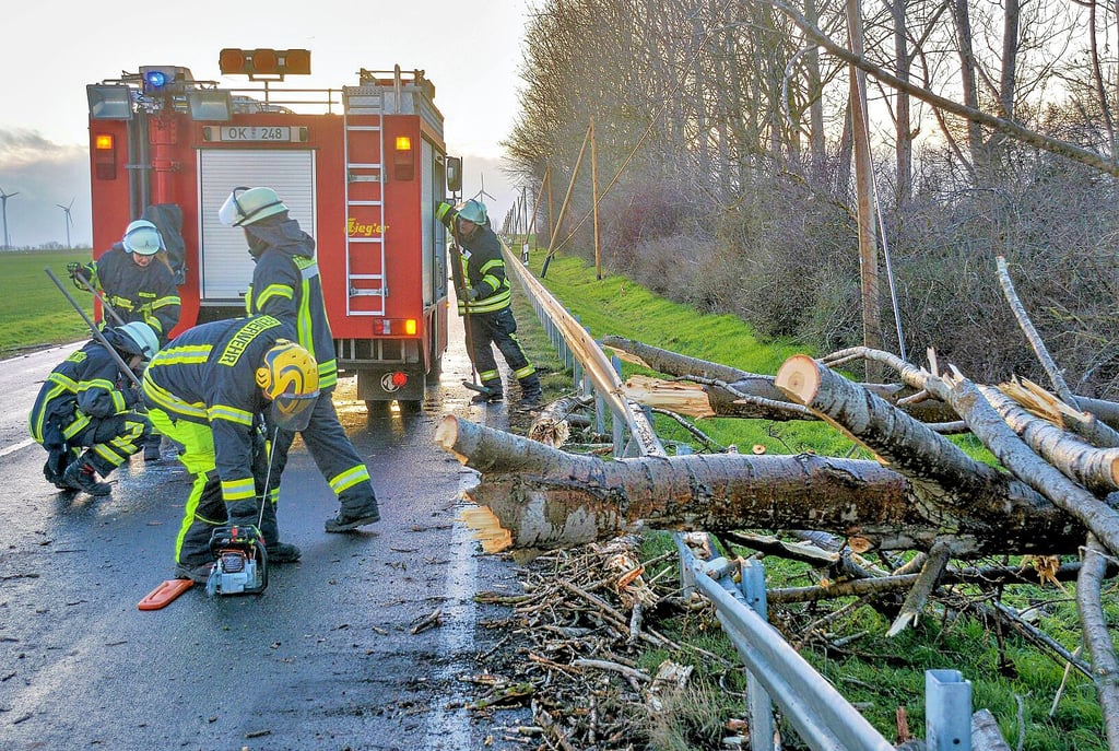 Die Wehrleute aus Wanzleben besietigen den umgestürtzten Baum an der B 246 zwischen der Sarrestadt und Stadt Frankfurt.