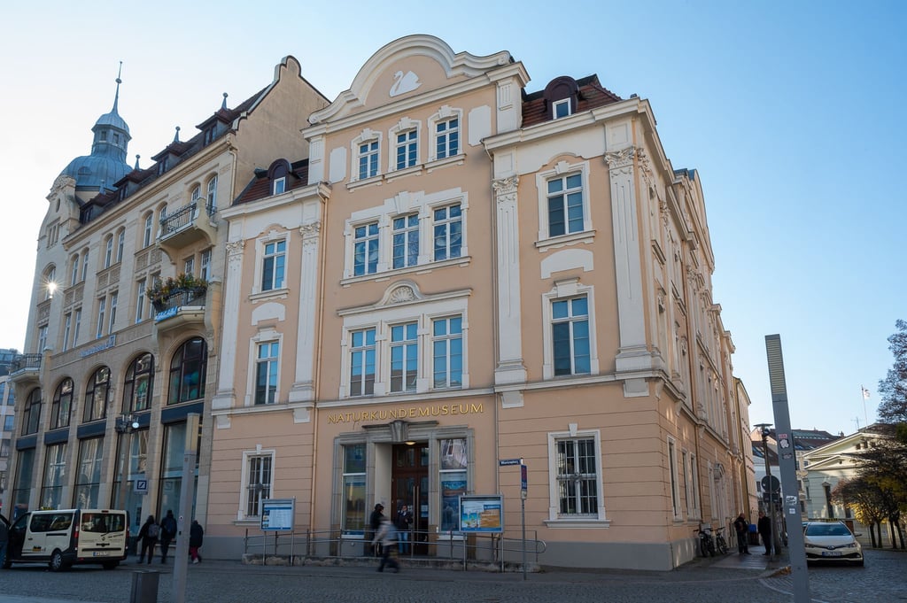 Das Senckenberg Naturkundemuseum am Marienplatz.