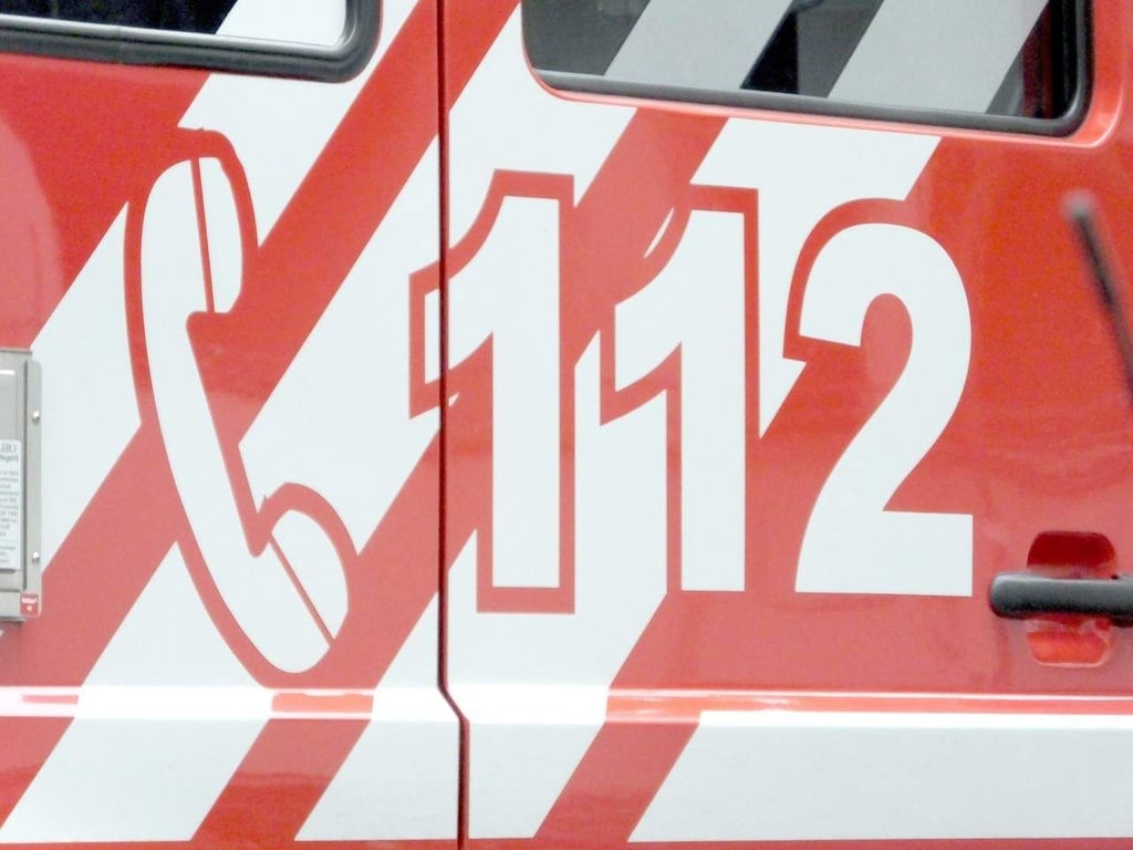 Die Magdeburger Feuerwehr rückte zu einem Rettungseinsatz an der Elbe aus.