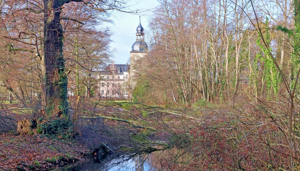 Blick in den Schlosspark von Möckern.