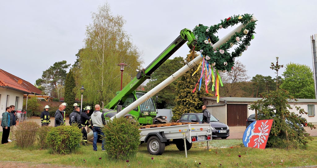 Traditionell soll der Maibaum im Beisein von vielen Güsenern am 1. Mai wieder auf dem Marktplatz aufgestellt werden.