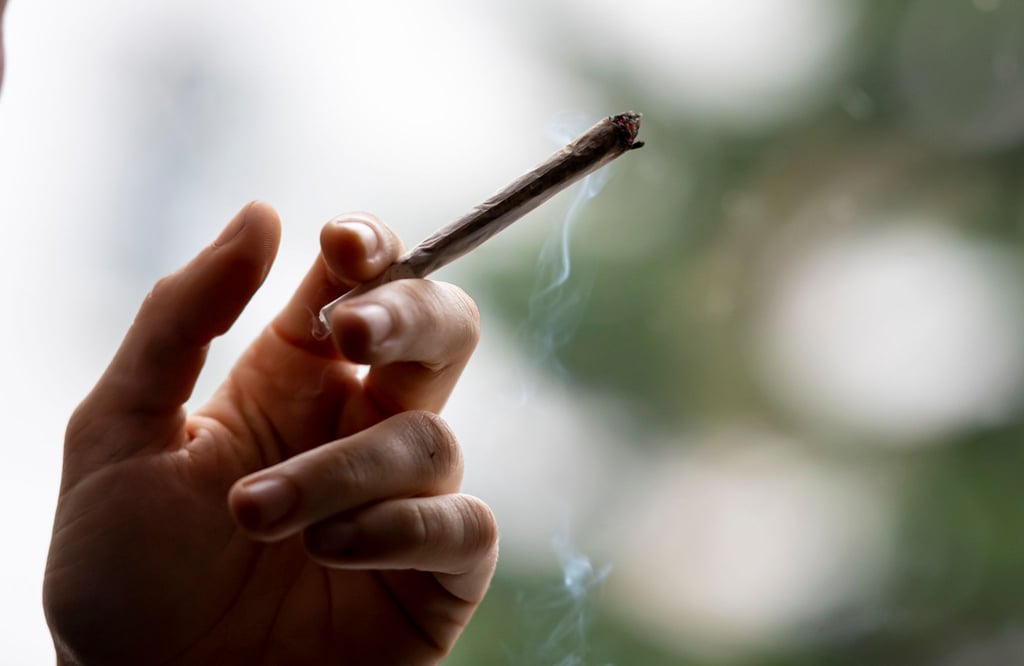 Die Ampel-Parteien wollen Cannabis zu Genusszwecken 2023 legalisieren.