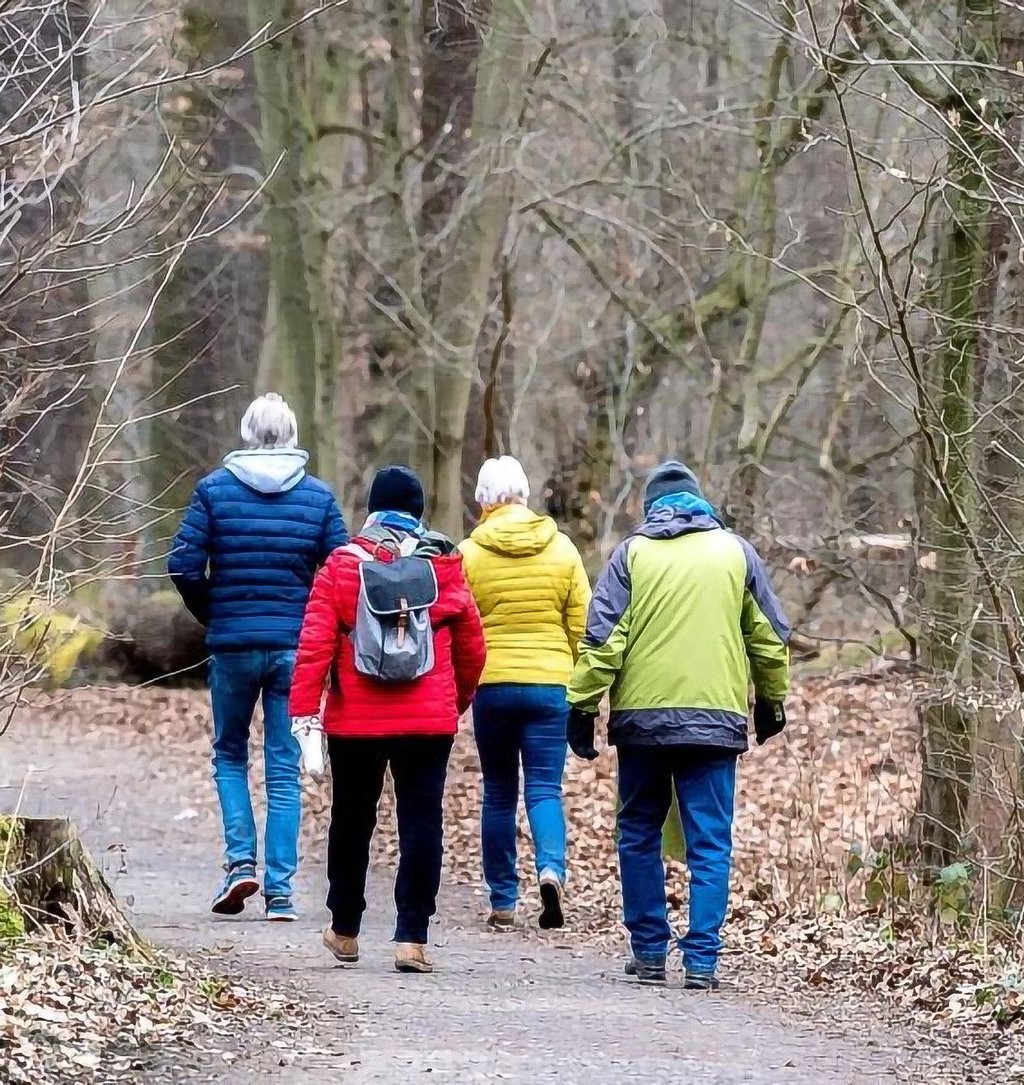 Die Wanderrouten beim Harzklub-Zweigverein werden zumeist als Rundwanderungen geführt.