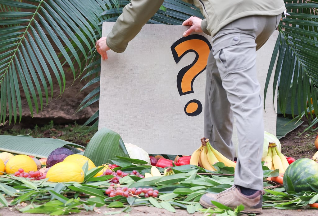 Das Elefantenjunge im Zoo Leipzig bekommt seinen Namen vom vietnamesischen Botschafter.