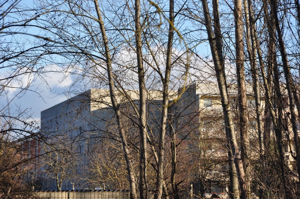 Auf dem Gelände an  der Hans-Grade-Straße in Magdeburg sind in den vergangenen Jahren Bäume gewachsen. Im Hintergrund sind Wohnblocks zu erkennen, die in den 1980er Jahren gebaut wurden. Bebaut werden sollen Bereiche, die nicht bereits von Polizei, Garagen und einer Seniorenwohnanlage belegt sind.