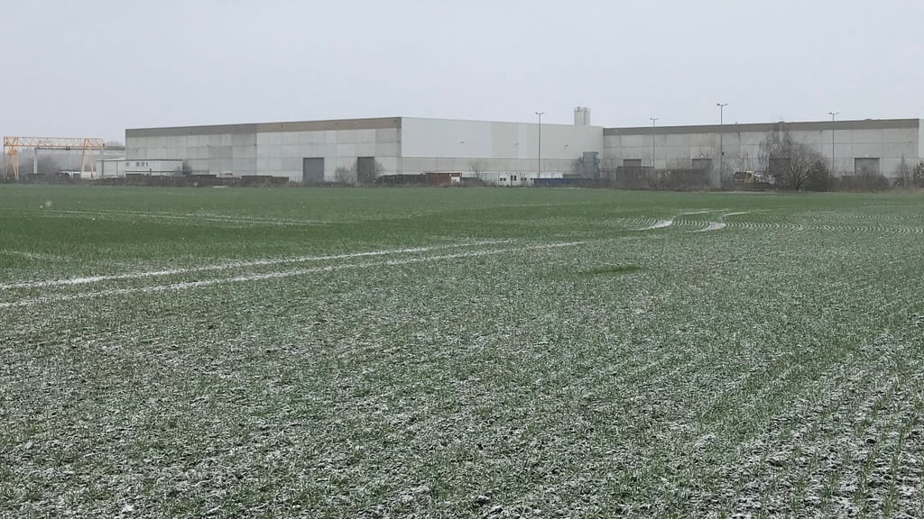 Auf diesem als Acker genutzten Gelände direkt neben seinem Werksgelände in Groß Ammensleben will das Betonwerkr Rekers eine Photovoltaik-Anlage errichten. Dafür muss ein Bebauungsplan aufgestellt werden.