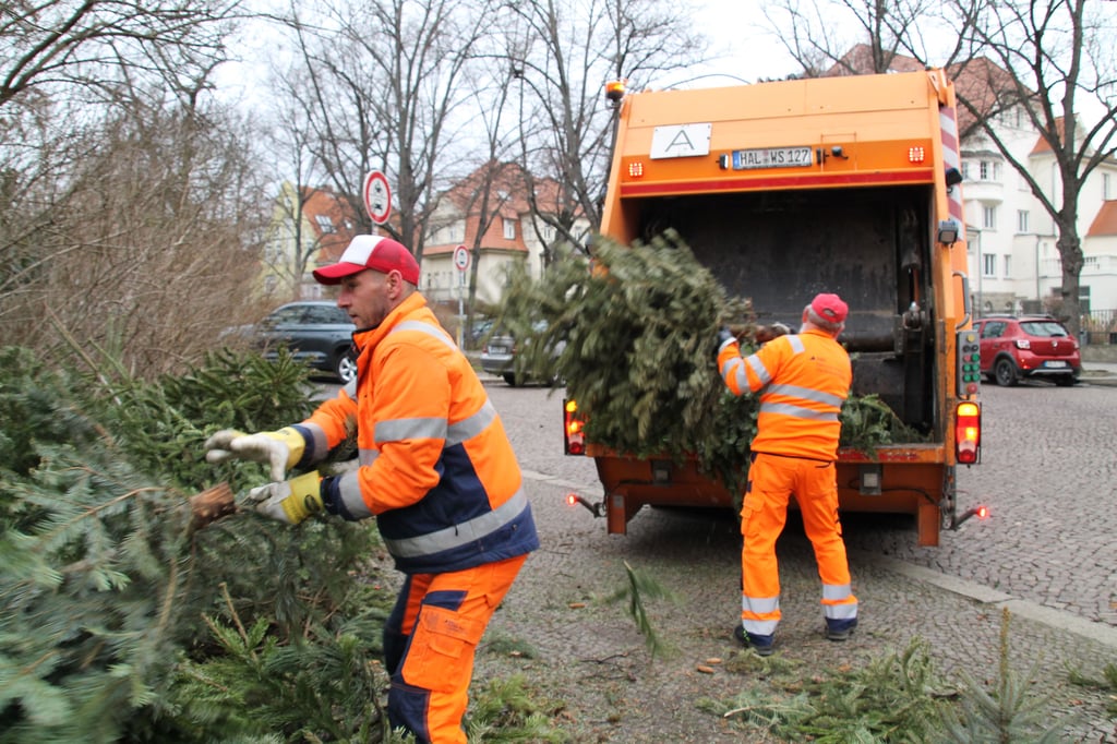 Mitarbeiter der Stadtwirtschaft werfen am Mittwoch am Rathenauplatz entsorgte Weihnachtsbäume ins Müllauto.