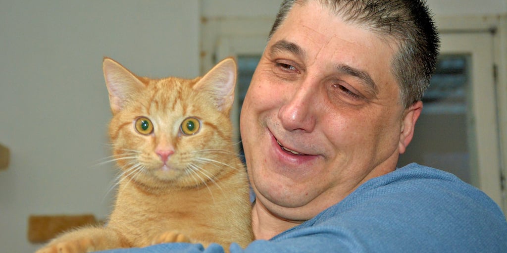 Der sechs Monate alte Kater Gerd wird mit seinen zwei Katzengeschwistern derzeit in der Auffangstation des Genthiner Tierschutzvereins unter anderem von André Knopek betreut. Die Katzen waren in einem Waldstück ausgesetzt worden und mussten in einer nächtlichen Aktion eingefangen werden.