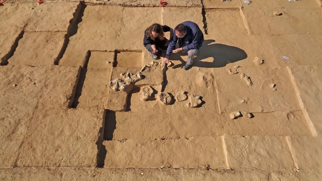 Insgesamt acht jahrtausendealte Straußeneier sind in der israelischen Negev-Wüste entdeckt worden. Forscher fanden die zerbrochenen Schalen der Eier bei Ausgrabungen neben einer antiken Feuerstelle.