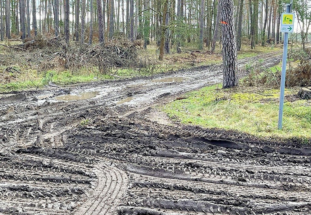 Ein ausgewiesener Radweg auf dem sogenannten Altmarkrundkurs bei Stegelitz (Tangerhütte). Das gelbe Schild zeigt ihn an. Durch die tiefen Schlammspuren schafft es aber derzeit kein Radfahrer mehr.