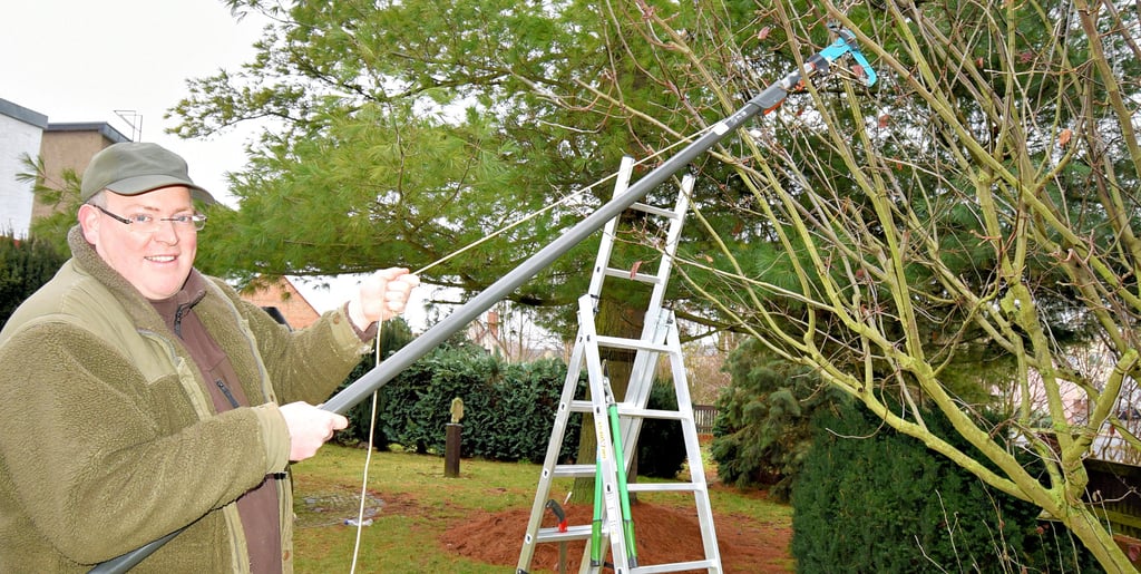 Jens Dockhorn hat sich in Hecklingen mit einem Baumschulbetrieb selbstständig gemacht. Hier schneidet er die Bäume in seinem eigenen Garten in Hecklingen fachgerecht.