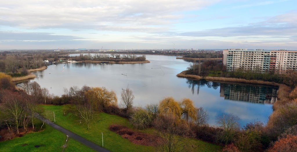 Blick auf den Neustädter See in Magdeburg. Das beliebte Badegewässer hat mit Poblemen bei der Wasserqualität zu kämpfen.