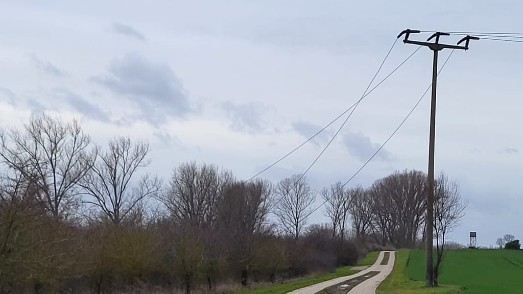 Wegen des Sturms kippte ein Baum und zerstörte die Oberleitung.