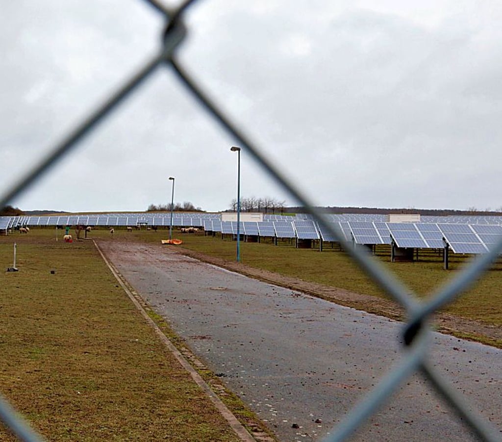 Blick in den Solarpark in Roßla. Die Schafe dienen dort als Rasenmäher.