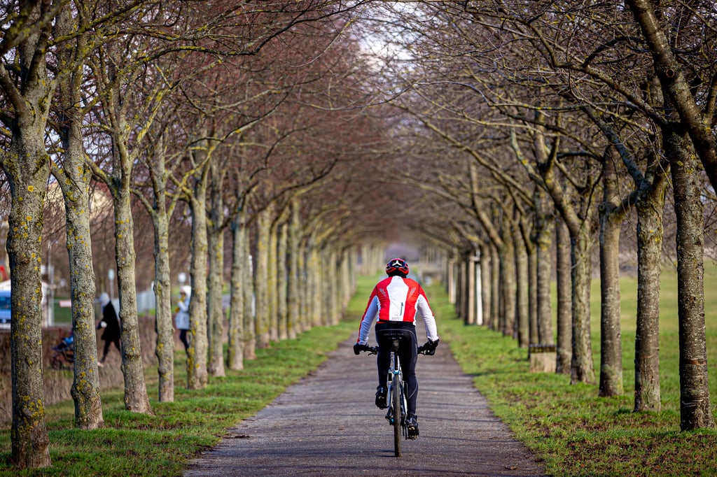 Die nötige Infrastruktur zu schaffen, um den Fahrradverkehr anzukurbeln und Fahrradtourismus zu fördern, ist das Ziel von vielen Gemeinden. So auch der Einheitsgemeinde Gommern. 