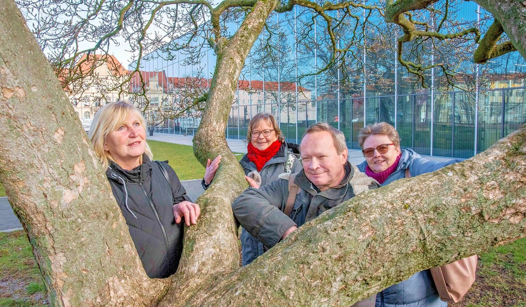 Die Gästeführer Ines Gerds, Monika Kaiser, Frank Beyer und Hiltrud Brand (v.l.n.r.) vor dem Bauhaus-Museum.
