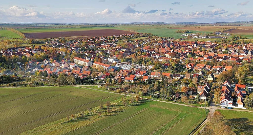 Derenburg aus der Vogelperspektive. Das Stadtbild prägen auch drei Kleingartenanlagen mit. Allerdings sind die Parzellen-Besitzer nicht organisiert, was für Ärger bei der Stromabrechnung sorgt.