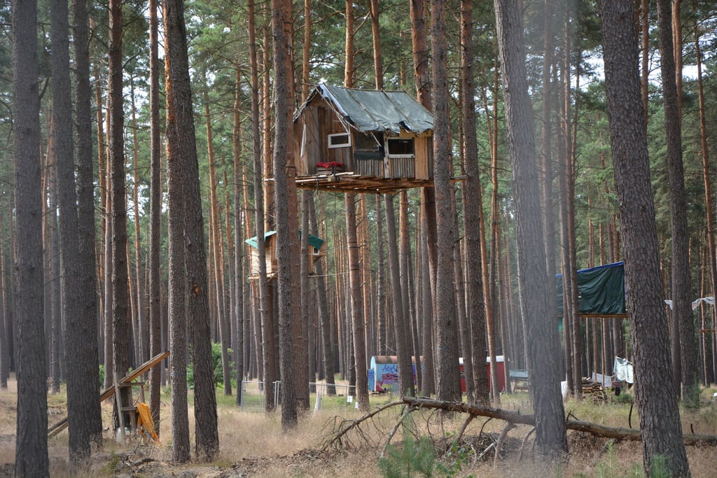 Zäune vor der Waldbesetzung gegen den A-14-Bau im Losser Forst.