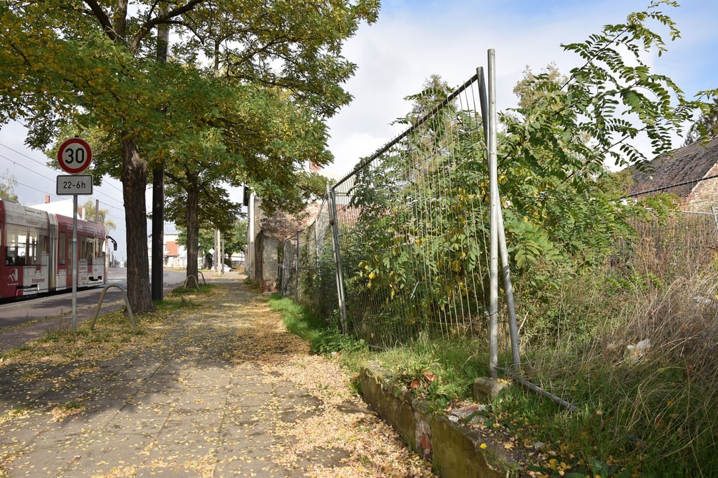 Dieses Grundstück an der Straße Alt Westerhüsen in Magdeburg kommt für einen Stadtteilplatz nicht infrage.