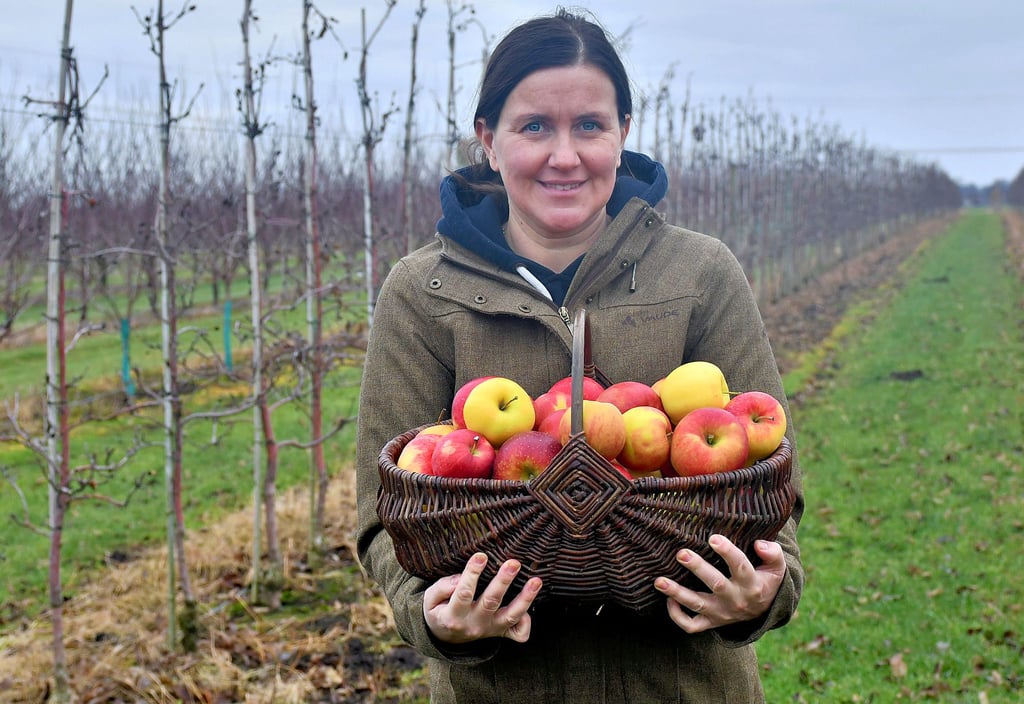 Sabine Hornemann inmitten ihrer 18 Hektar großen Obstbaumplantage in Langenweddingen.