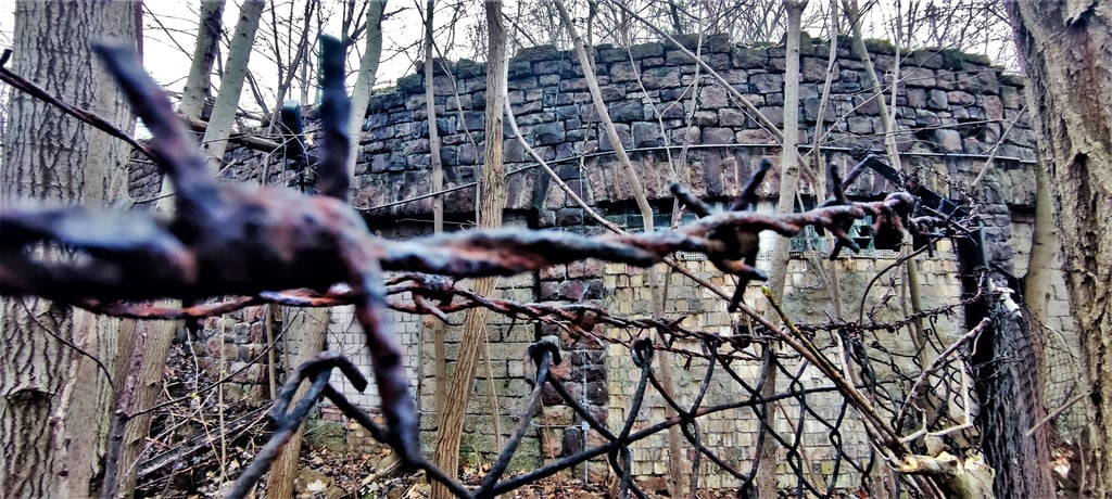 Hinter rostigem Stacheldraht liegen die Ruinen der Thingstätte in den halleschen Brandbergen.