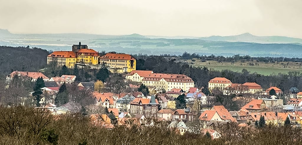 Die Stadt Ballenstedt hat ein herausforderndes Jahr hinter sich. Das schnelle Internet ist anders als geplant noch nicht überall verfügbar, Straßenbauarbeiten verzögern sich.