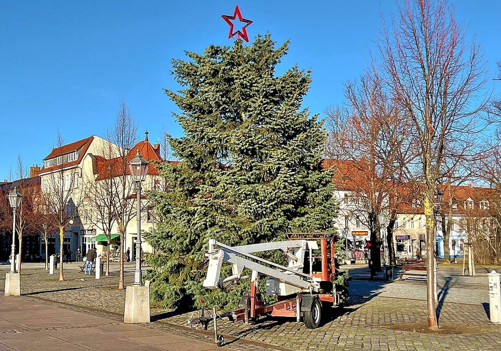 In dieser Woche wurde Bernburgs Weihnachtsbaum abgeschmückt und anschließend abtransportiert. Aber was wird aus dem Stern?