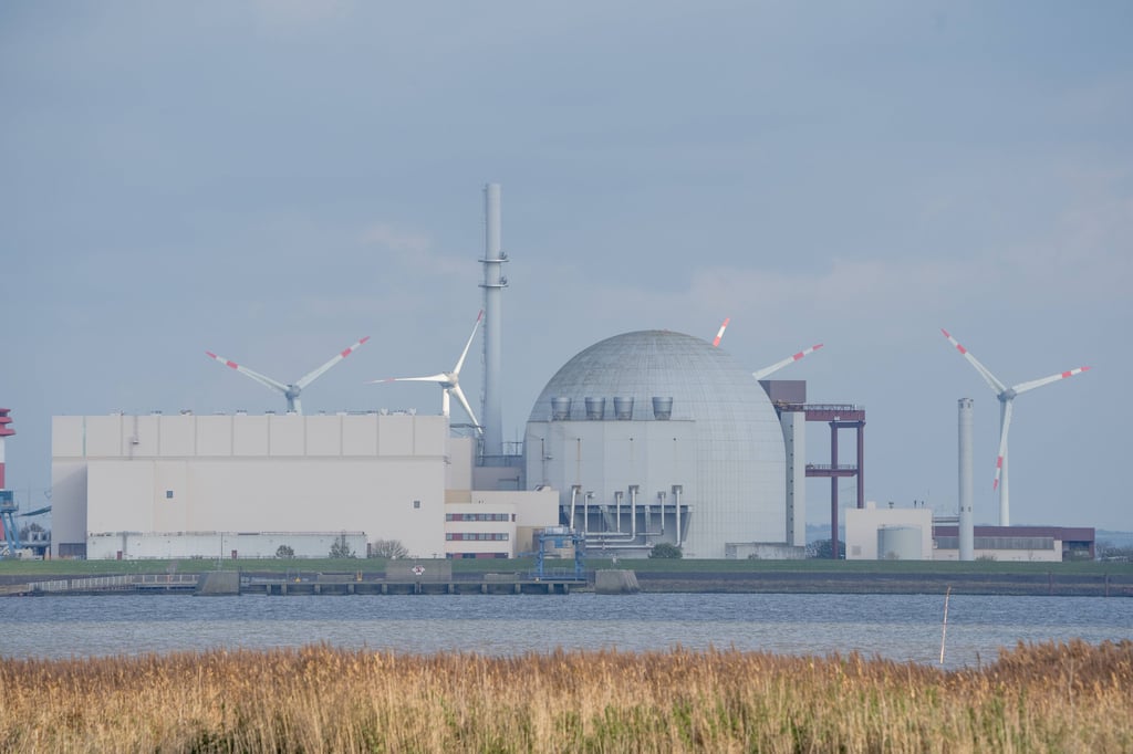 Die FDP Sachsen-Anhalt dringt auf eine Verlängerung der Laufzeit für Atomkraftwerke.