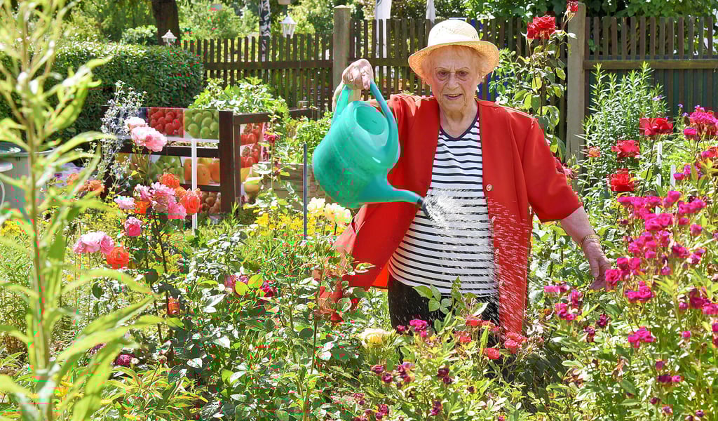 Eine Frau gießt die Blumen in ihrem Garten. In Magdeburg gibt es vereinzelt Bereiche, in denen der Verband der Gartenfreunde Magdeburg auch mit Leerstandsproblematiken zu kämpfen hat.