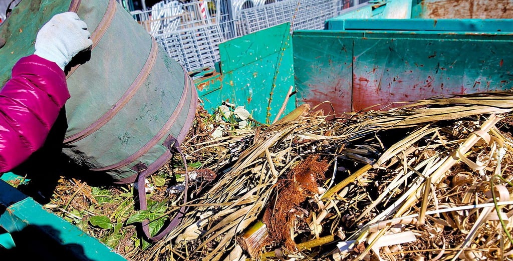 Was ist Grünschnitt und was darf nicht auf den Grünschnittplatz? Darüber informiert die Gemeinde Biederitzer auf ihrer Internetseite. 