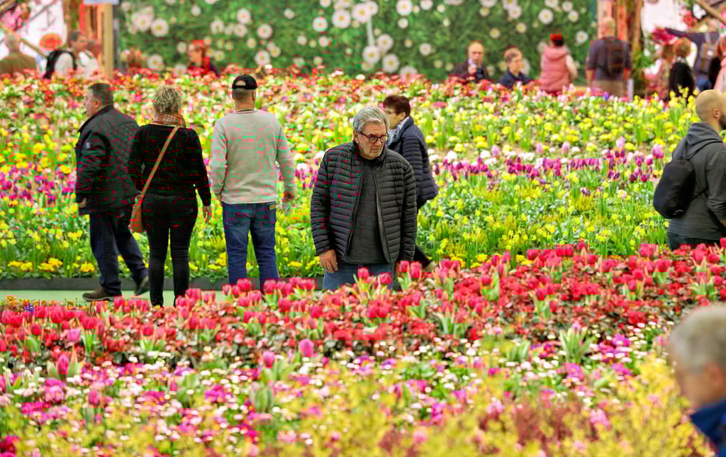 Neben den Akteuren aus dem Jerichower Land in der Sachsen-Anhalt-Halle ist auch die Blumenausstellung auf der Grünen Woche stets einen Besuch wert.