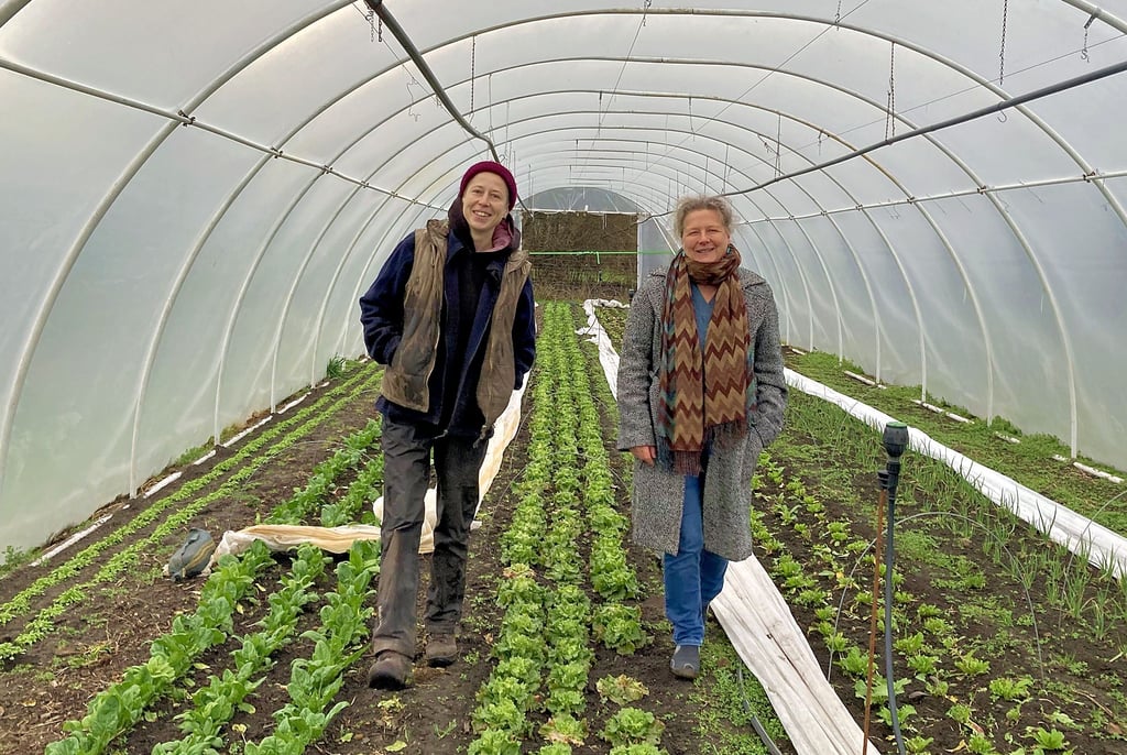 Ulli Delfs (l.) und Ute Walter sind Gärtnerinnen bei der Solidarischen Landwirtschaft (Solawi) Wittenberg. Dort wächst auch im Januar einiges.