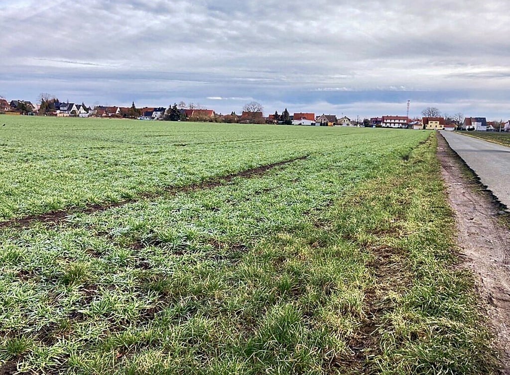 Hier könnte neues Wohnbauland ausgewiesen werden.