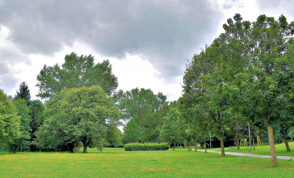 Der Kurpark in Hasselfelde soll hergerichtet werden, damit dort künftig verstärkt Veranstaltungen stattfinden können.