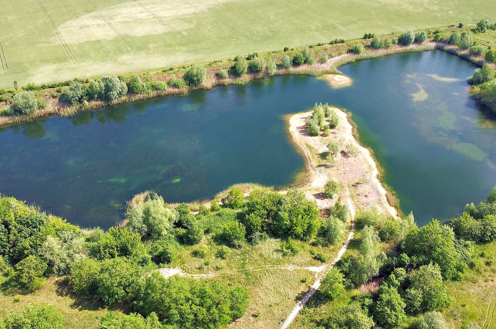 Ein See mit mehreren Eigentümern: die ehemalige Kiesgrube von Büden ist längst zum Lebensraum für Flora und Fauna geworden. Nur der Mensch streitet sich um diesen Flecken Erde.