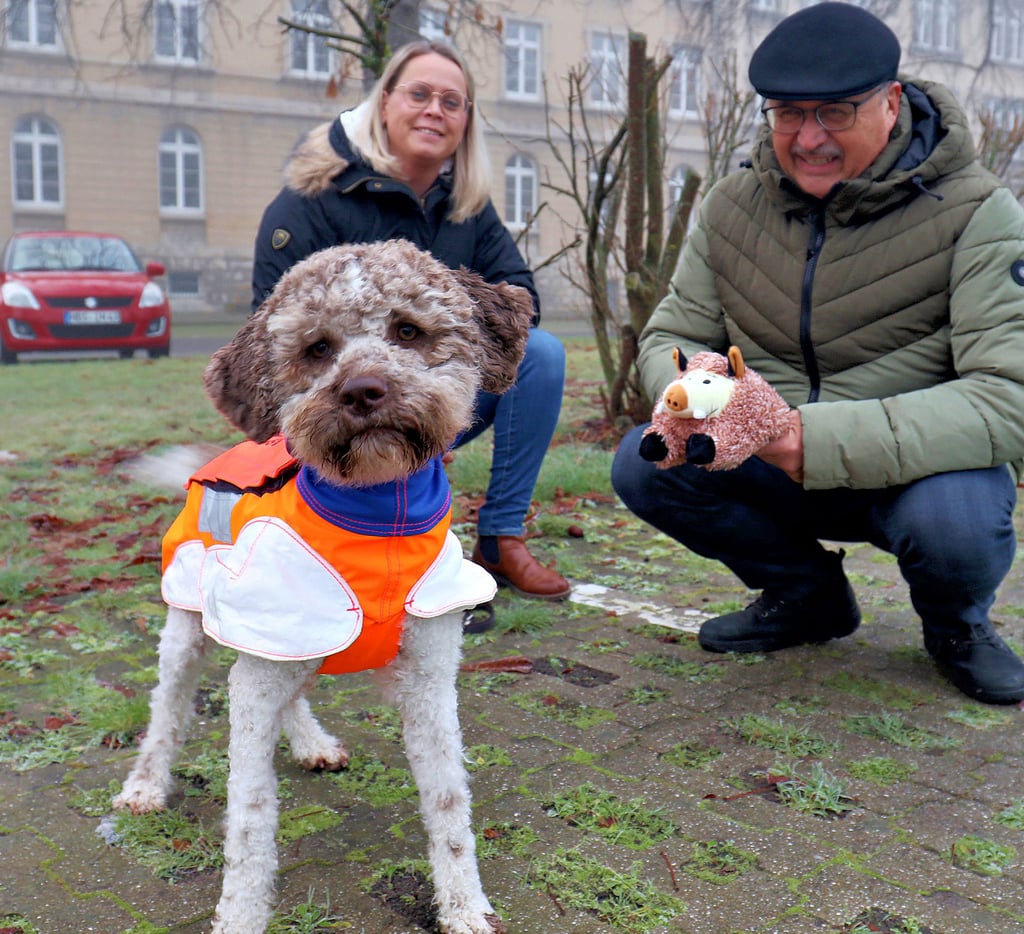 Amtstierarzt Dr. Rainer Miethig überrascht Stefanie Pieles und Hündin Leni mit einem Plüsch-Wildschwein. Der frisch ausgebildete Kadaversuchhund kommt nach Ausbruch der Afrikanischen Schweinepest in schwer zugänglichen Gebieten zum Einsatz.