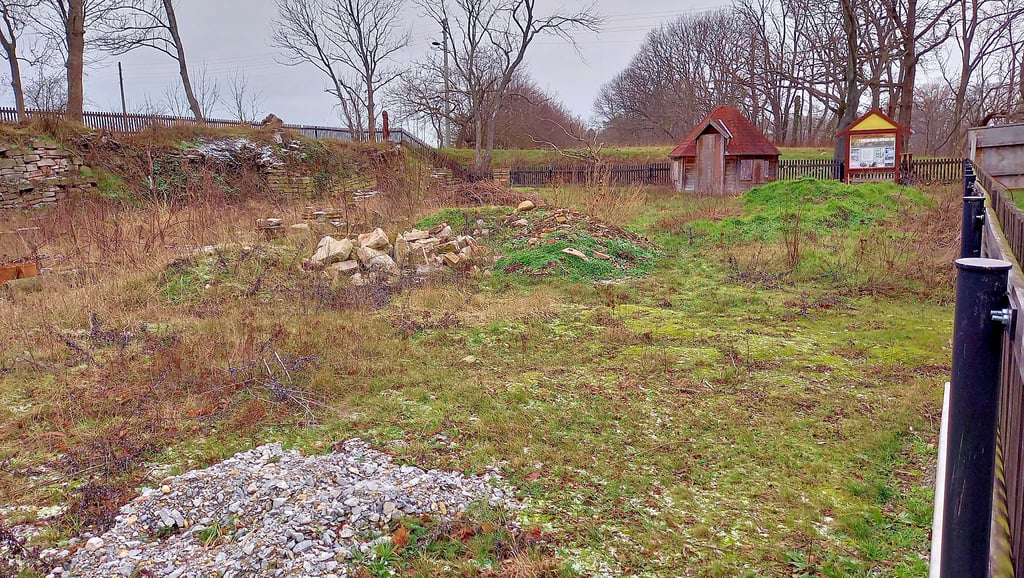 So sieht es aktuell auf dem Gelände der ehemalgen Mühle Hinze in Abbenrode aus. Der Heimatverein will sich nun wieder verstärkt um das Areal kümmern.
