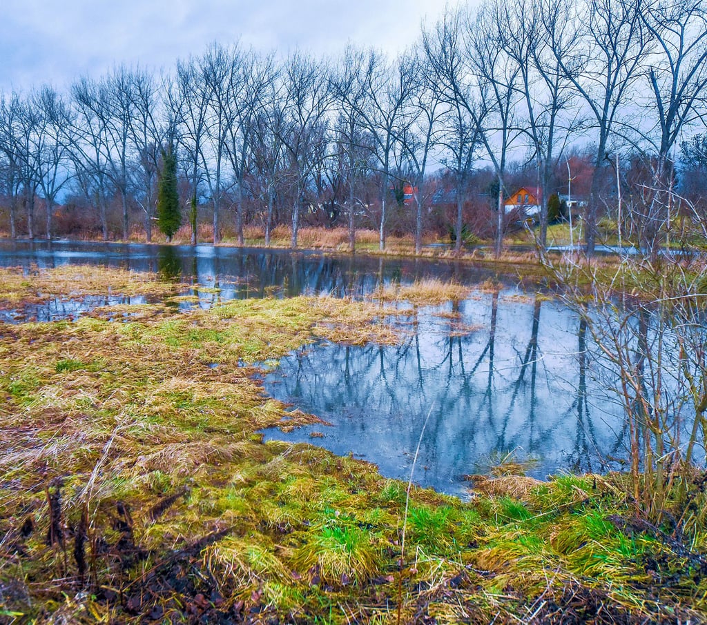 Neben dem Ellerbach sind Wasserflächen entstanden.