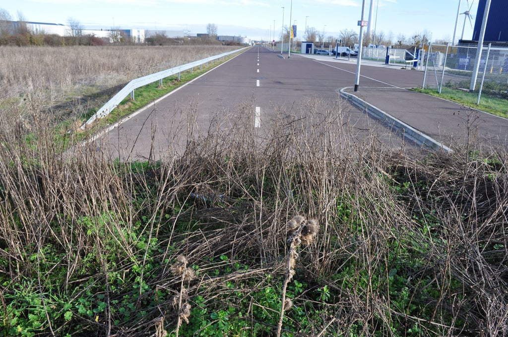 Ende im Gelände: Die Grabower Straße im Gewerbegebiet Nord in Magdeburg endet bislang kurz hinter der Einfahrt zum Logistiker Dachser an einem Erdhaufen.