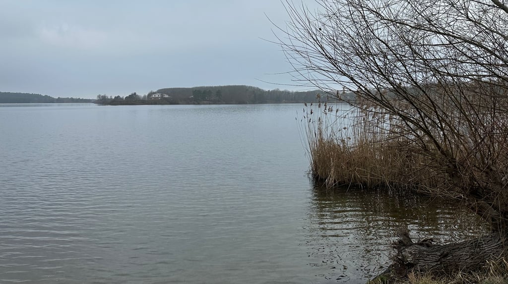 Der Teil des Strandbereiches am Niegripper See soll für den Tourismus veräußert werden.