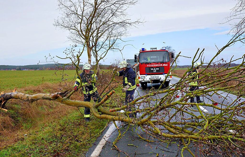 Zwischen Wiepke und Estedt blockierte dieser Baum die Straße.