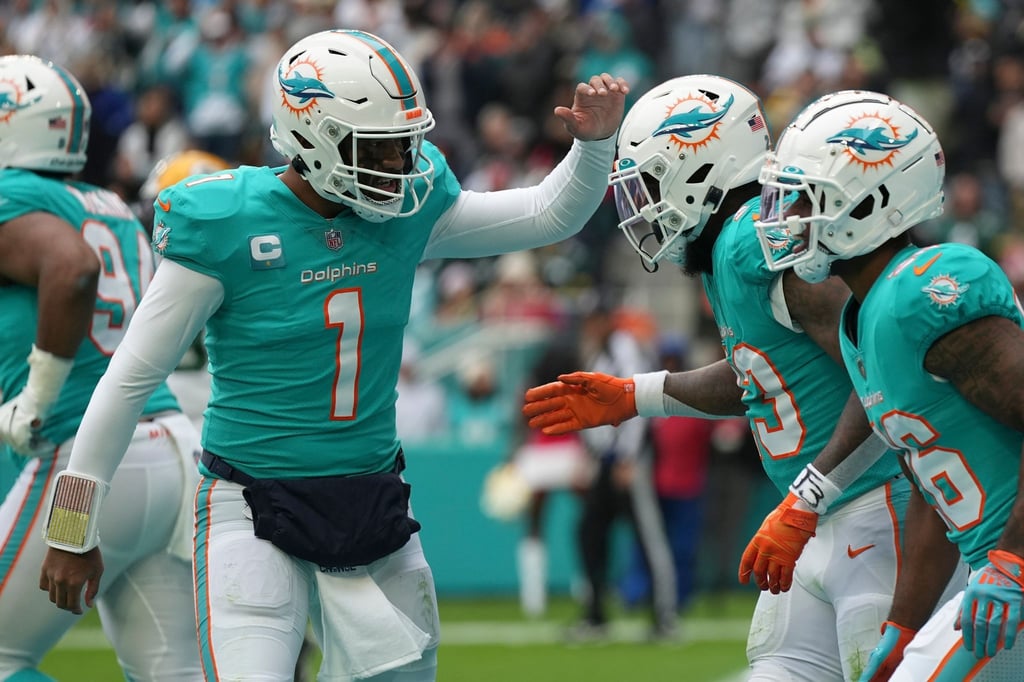 Die Miami Dolphins sicherten sich den letzten Playoff-Platz in der NFL.