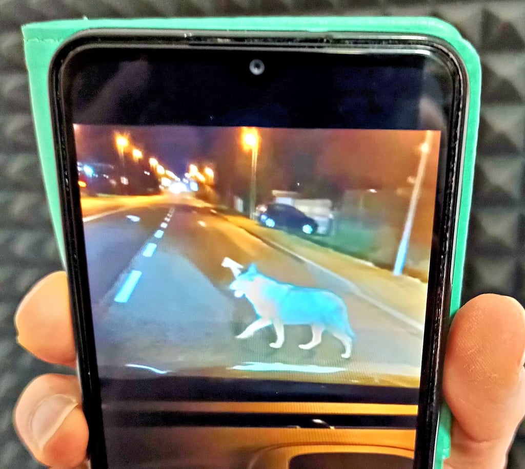 Dieses Video, aufgenommen auf der Bundesstraße 1 nahe der Tankstelle in Heyrothsberge, macht in diesen Tagen die Runde.