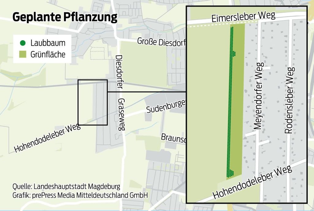 Hier im Magdeburger Stadtteil Diesdorf entsteht der neue Baumhain.
